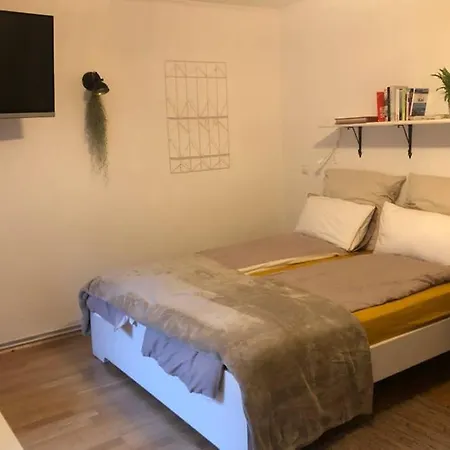 Gemuetliche Sanierte 1 Mit Privatem Parkplatz Im Zentrum Apartment